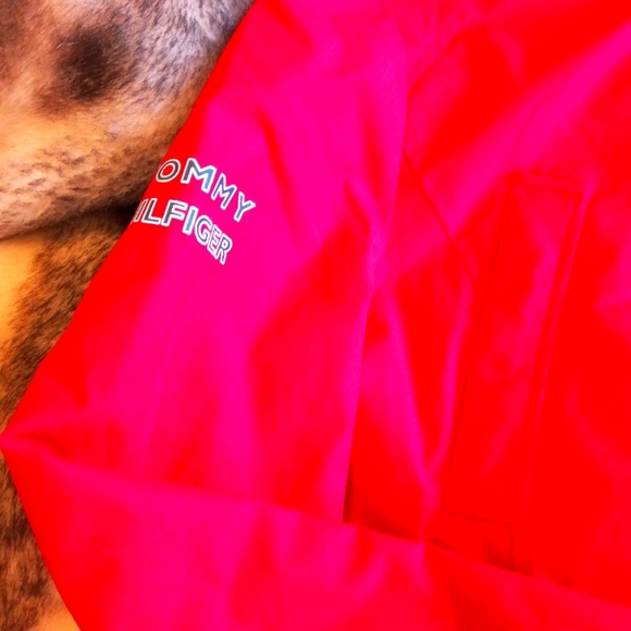 Tommy Hillfiger 3 in 1 NEW Jacket - Picture 4 of 4